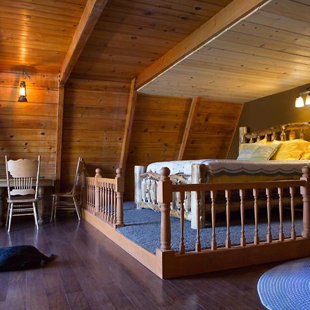Hicksville Pines Chalets & Motel Idyllwild Exteriör bild